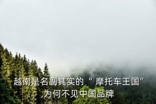  越南是名副其实的“ 摩托车王国”,为何不见中国品牌