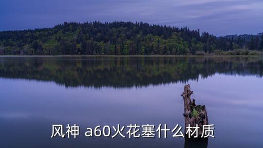  风神 a60火花塞什么材质