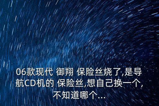 06款现代 御翔 保险丝烧了,是导航CD机的 保险丝,想自己换一个,不知道哪个...