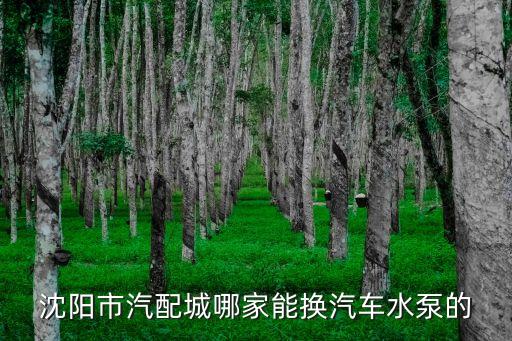 沈阳市汽配城哪家能换汽车水泵的