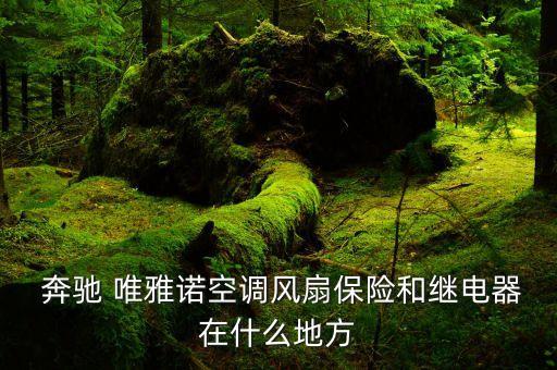  奔驰 唯雅诺空调风扇保险和继电器在什么地方