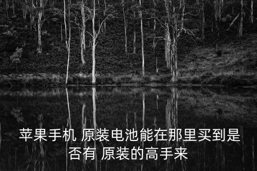  苹果手机 原装电池能在那里买到是否有 原装的高手来