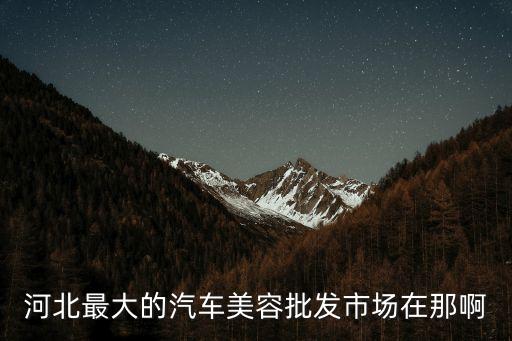 河北最大的汽车美容批发市场在那啊