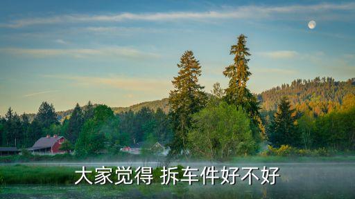 大家觉得 拆车件好不好