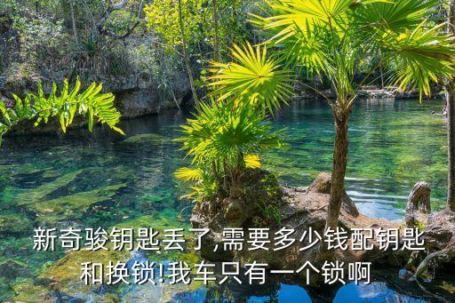 新奇骏配件价格,奇骏配件价格一览表车门