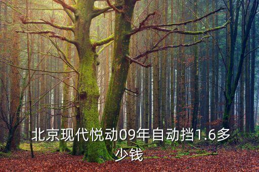  北京现代悦动09年自动挡1.6多少钱