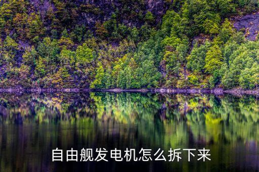  自由舰发电机怎么拆下来