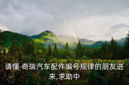 请懂 奇瑞汽车配件编号规律的朋友进来,求助中