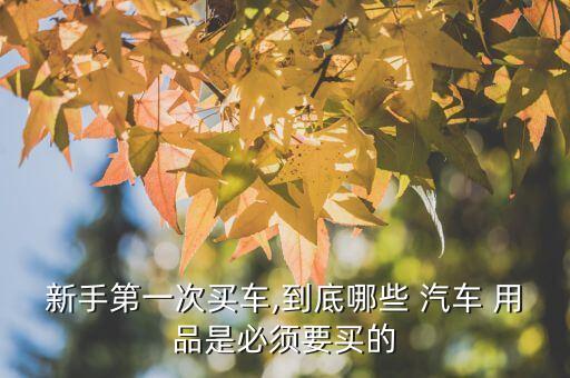 新手第一次买车,到底哪些 汽车 用品是必须要买的