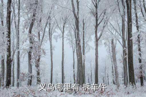 义乌哪里有 拆车件
