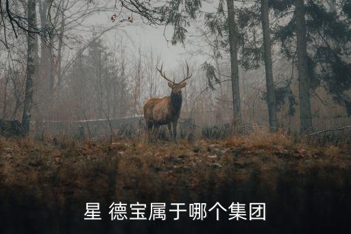 星 德宝属于哪个集团
