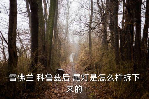 雪佛兰 科鲁兹后 尾灯是怎么样拆下来的