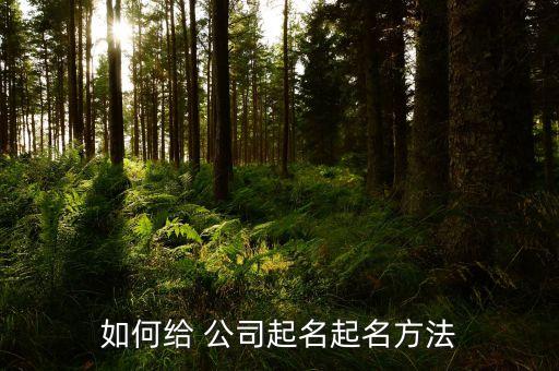 如何给 公司起名起名方法