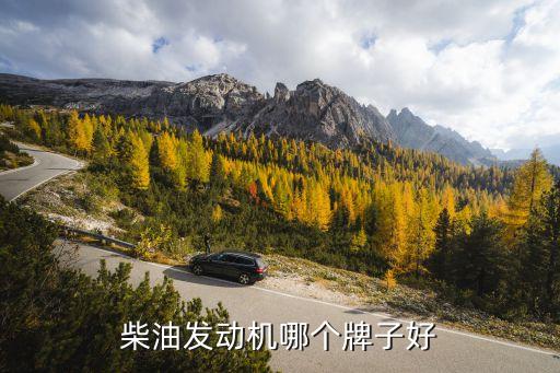 柴油发动机哪个牌子好