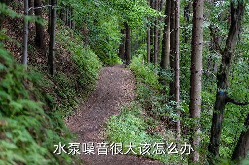 水泵噪音很大该怎么办