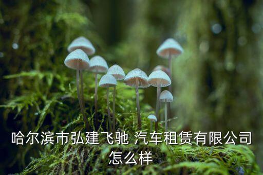 巴山汽车配件