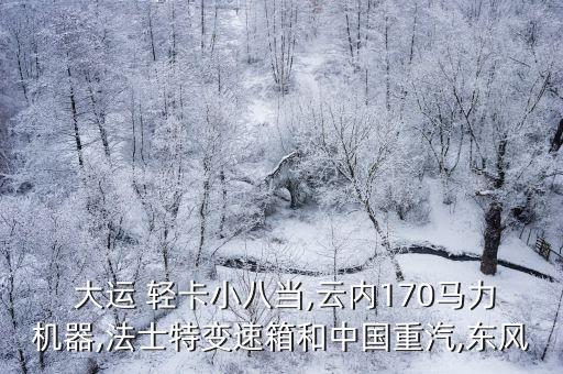 大运 轻卡小八当,云内170马力机器,法士特变速箱和中国重汽,东风