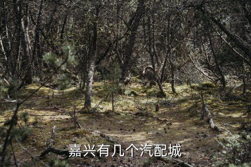 嘉兴有几个汽配城