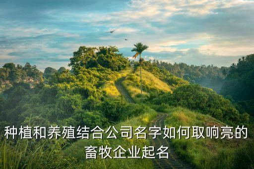 种植和养殖结合公司名字如何取响亮的畜牧企业起名
