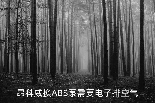 abs泵怎么排气,摩托车abs泵怎么排气