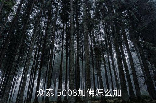  众泰 5008加佛怎么加