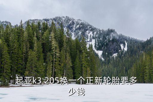 起亚k3 205换一个正新轮胎要多少钱