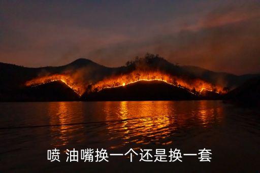 喷 油嘴换一个还是换一套