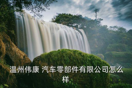  温州伟康 汽车零部件有限公司怎么样