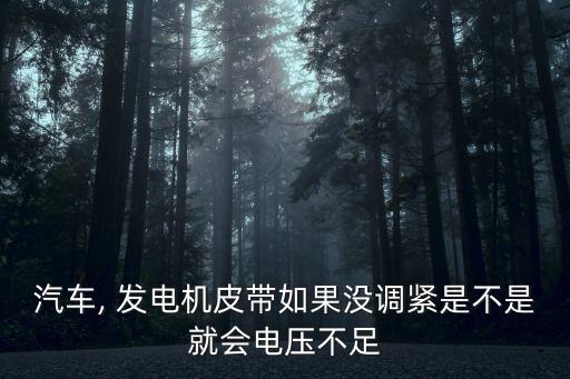 骊威发电机怎么紧,日骊威换发电机皮带教程