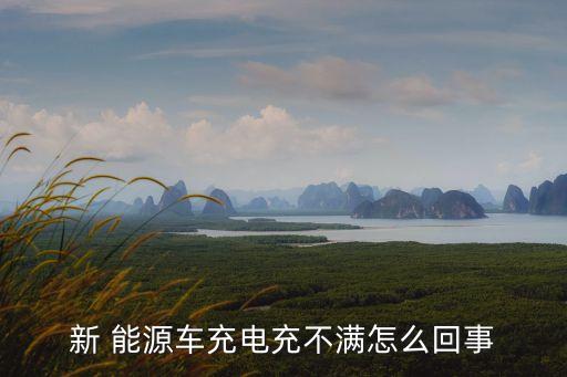 新 能源车充电充不满怎么回事