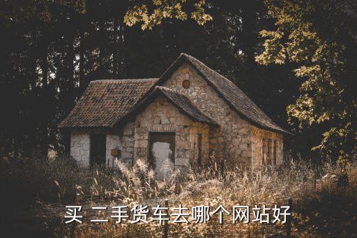 买 二手货车去哪个网站好