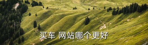 买车 网站哪个更好