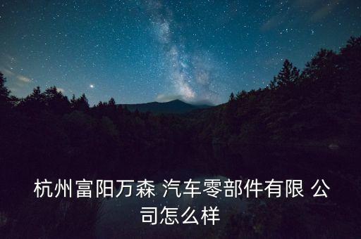 杭州富阳万森 汽车零部件有限 公司怎么样
