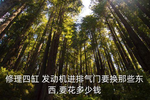 修理四缸 发动机进排气门要换那些东西,要花多少钱