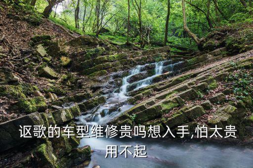  讴歌的车型维修贵吗想入手,怕太贵用不起
