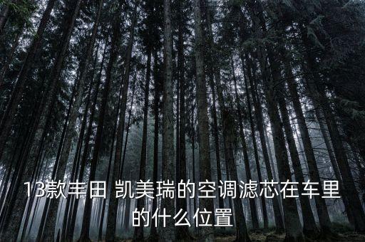 13款丰田 凯美瑞的空调滤芯在车里的什么位置
