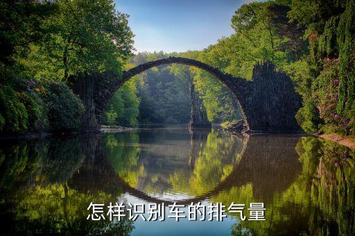怎样识别车的排气量