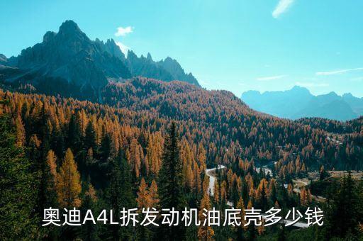  奥迪A4L拆发动机油底壳多少钱
