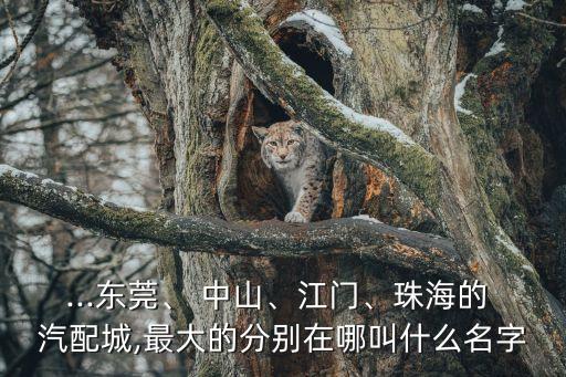 ...东莞、 中山、江门、珠海的 汽配城,最大的分别在哪叫什么名字