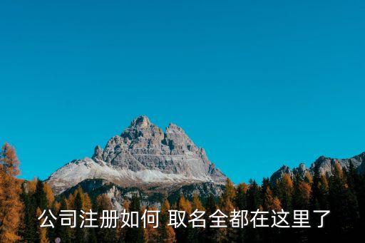  公司注册如何 取名全都在这里了