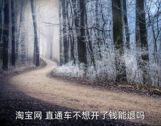 淘宝网 直通车不想开了钱能退吗