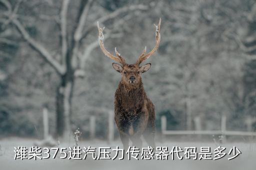 潍柴375进汽压力传感器代码是多少