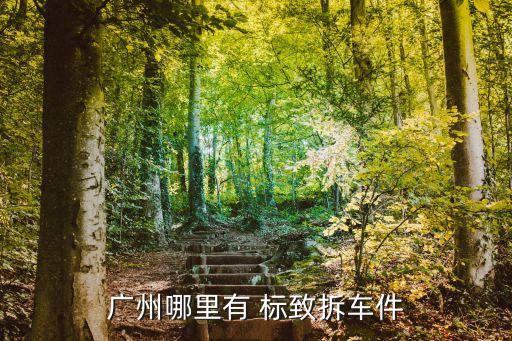 广州哪里有 标致拆车件