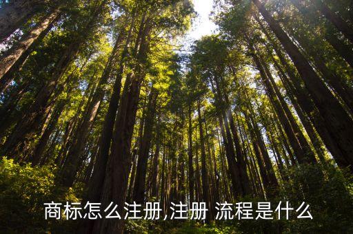  商标怎么注册,注册 流程是什么