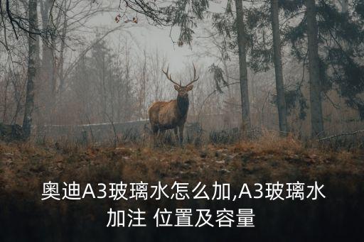  奥迪A3玻璃水怎么加,A3玻璃水加注 位置及容量