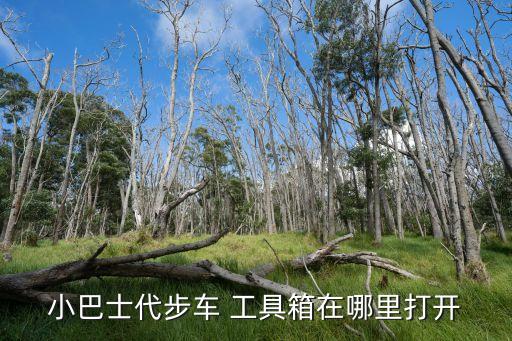 小巴士代步车 工具箱在哪里打开