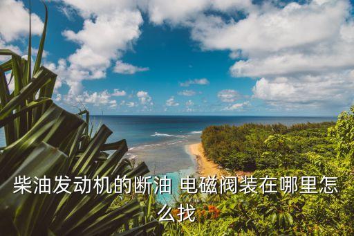 柴油发动机的断油 电磁阀装在哪里怎么找
