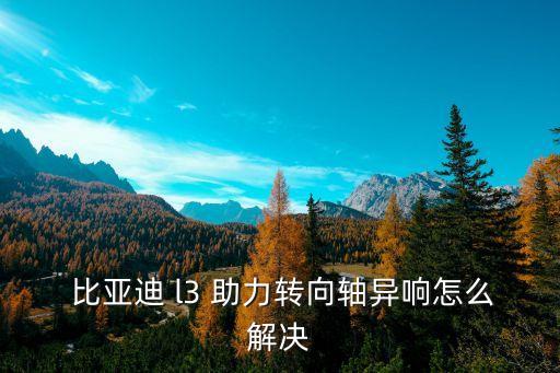 比亚迪 l3 助力转向轴异响怎么解决