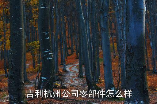  吉利杭州公司零部件怎么样