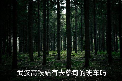  武汉高铁站有去蔡甸的班车吗